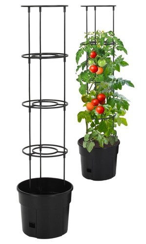 Tomato planter cage trellis - tomato,