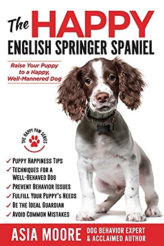 The happy english springer - the,