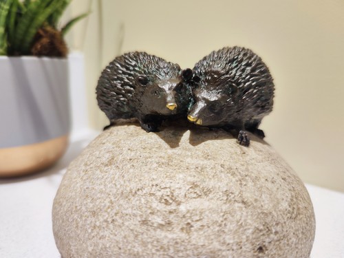 Hedgehogs rock resin - on, a