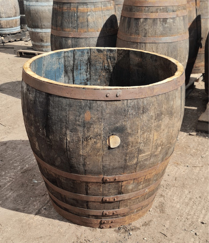 Xxl huge 90cm tall oak - xxl, 3/4