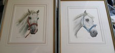 Watercolour paintings white - watercolour,