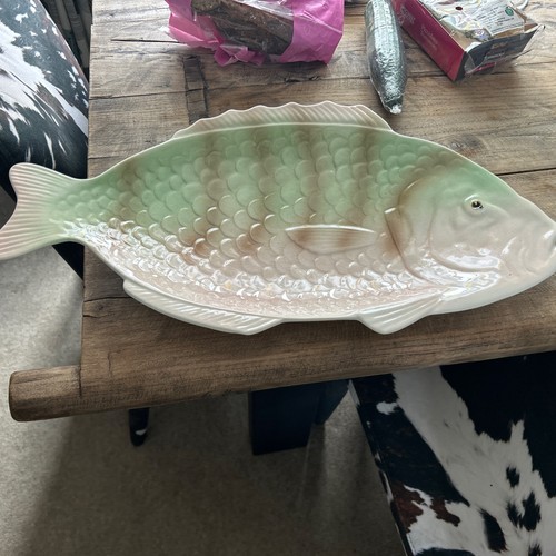 Shorter son giant fish - &,