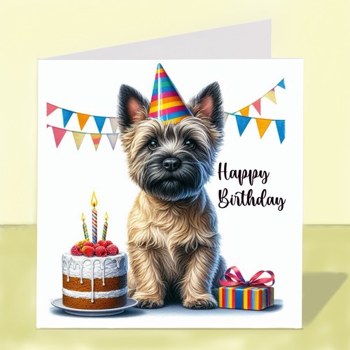 Cairn terrier dog - terrier, birthday
