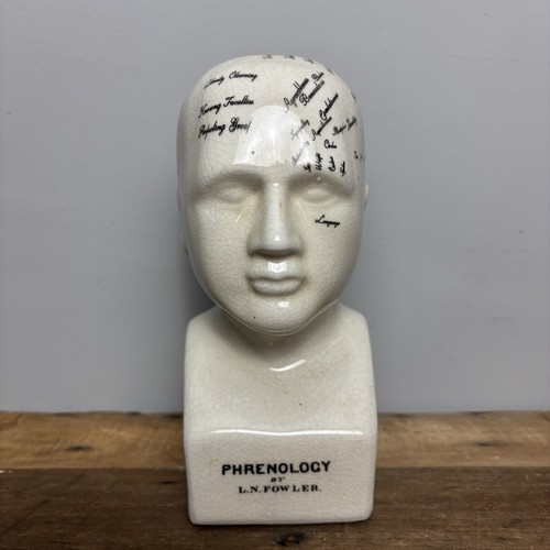 Ceramic phrenology head bust - ceramic,