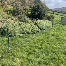 Gallagher Sheep Chicken  Fence