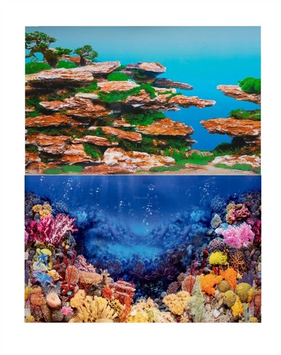 Aquarium fish tank - fish,