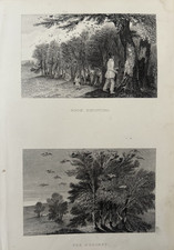 Antique Hunting Print Rook