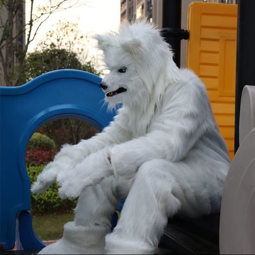 White wolf fox cosplay cartoon - wolf,