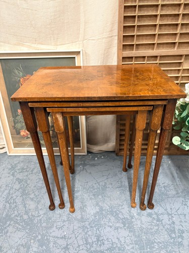 Nest antique burr walnut - of,