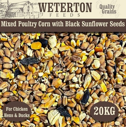 Mixed poultry corn with black - corn,