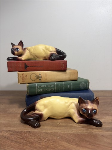 Vintage siamese cats with - siamese, blue