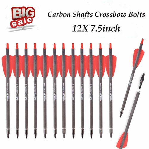 12x crossbow bolts - bolts, carbon