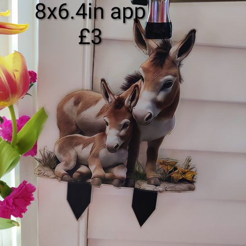 Donkey foal flat 2d - flat,