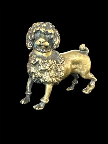 Vienna bronze poodle - vienna, dog