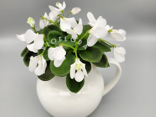 White wasp flower miniature - white,
