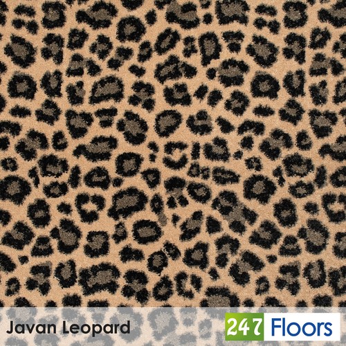 Javan leopard jag44 - jag44, tribes