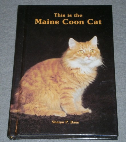 This the maine - maine, coon