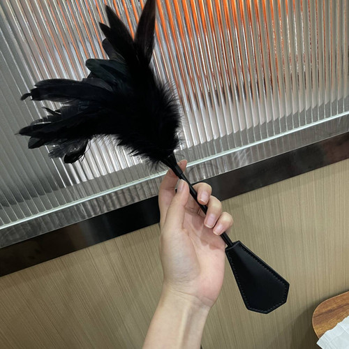 Feather whip spanking - whip,