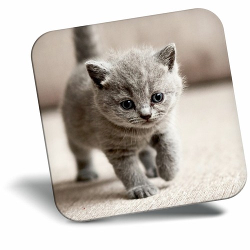 Awesome fridge magnet - fridge,