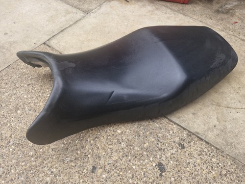 Cbr1100 black bird - cbr1100,