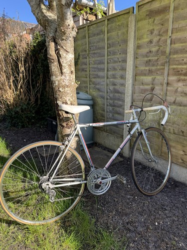 Puch free spirit - vintage, road