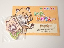 Kemono Friends Jaguar Set of