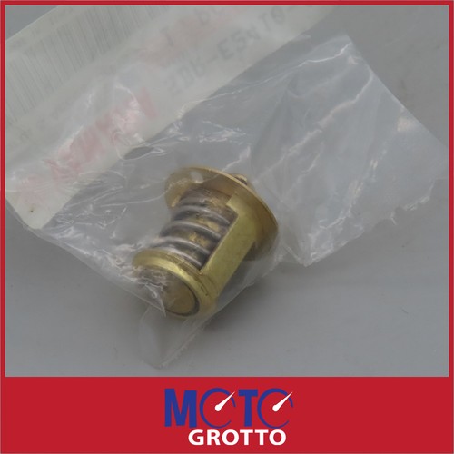 Thermostat for yamaha tzr50 - yamaha,