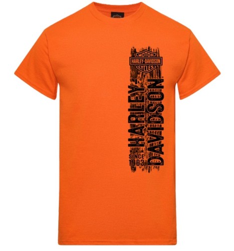 Harley davidson men - men, dealer