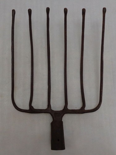 Antique tine beet potato - 6,