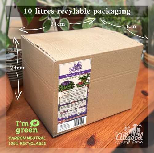 African violet expert potting - expert,