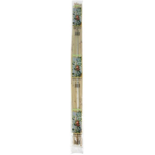 Bamboo cane support - cane, stakes
