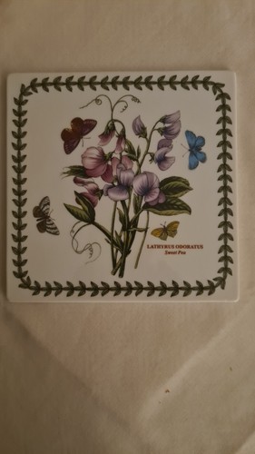 Portmeirion botanic garden - portmeirion,