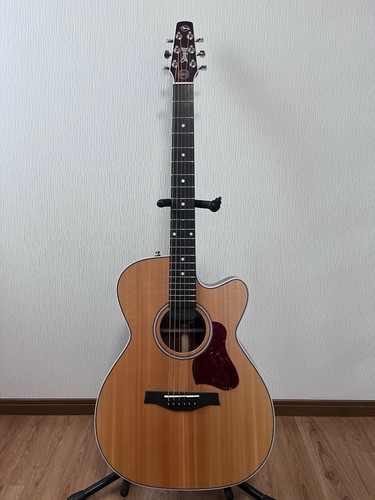 Final price drop seagull - final,