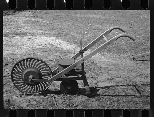 Photo 1930s garden - photo:1930s,