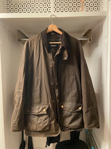 The crown barbour - crown,