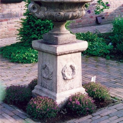Laurel column stone - laurel, garden