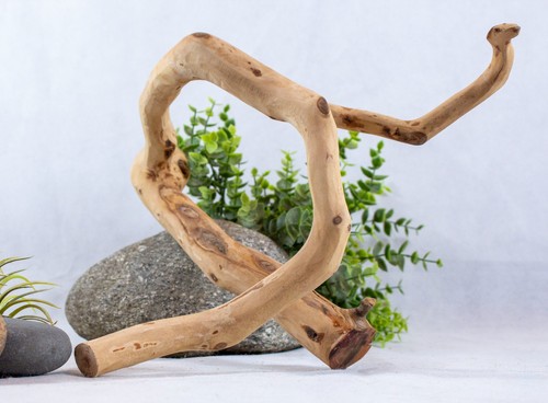 Manzanita driftwood branch - 14",