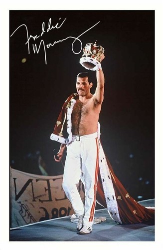 Freddie mercury queen - freddie,