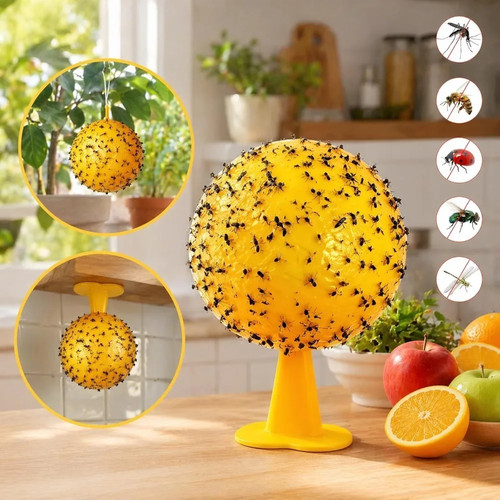 Fruit fly balls ball - fly,