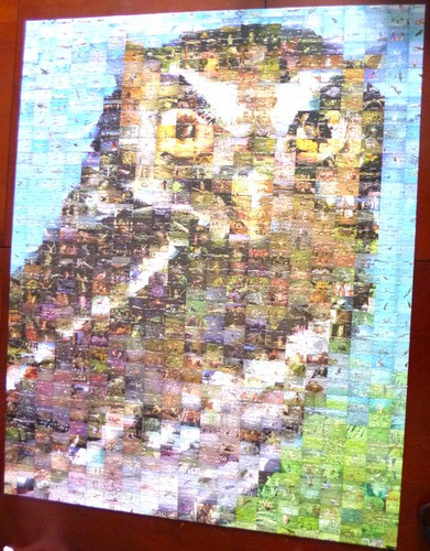 Photomosaic owl 1000 piece - photomosaic,