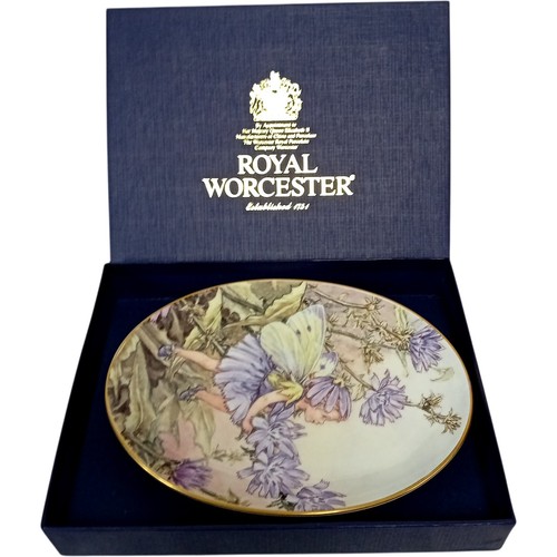 Royal worcester chicory - worcester,
