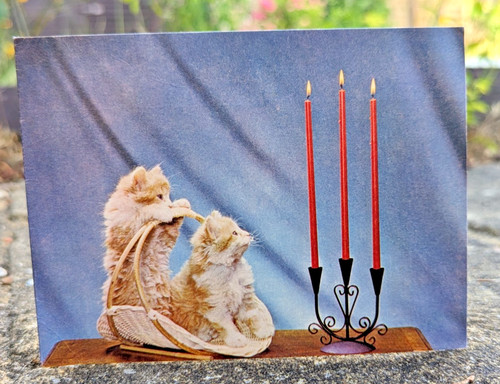 Vtg ginger cats kittens - ginger,