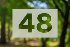 CUSTOM FROSTED ETCHED GLASS