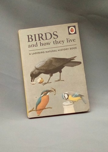 Birds and how - , they