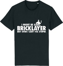 I Might Be a BRICKIE But I