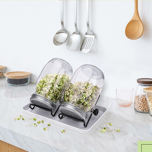 Sprouting mason jars seed - mason,