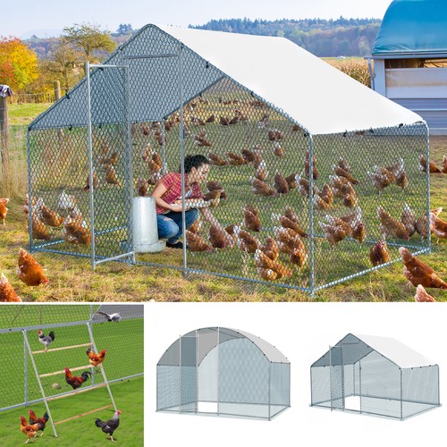 Walk chicken run galvanized - chicken,