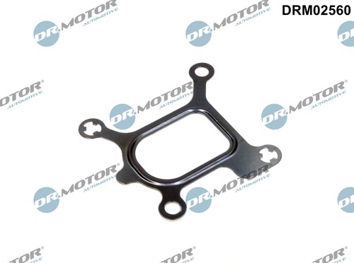 Gasket coolant flange fits - gasket,