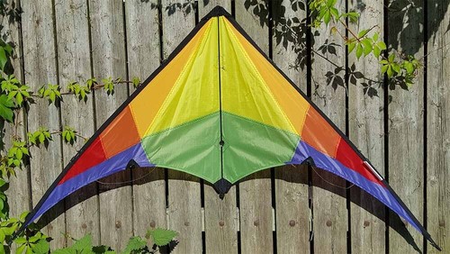 Rookie rainbow sport kite - rainbow,