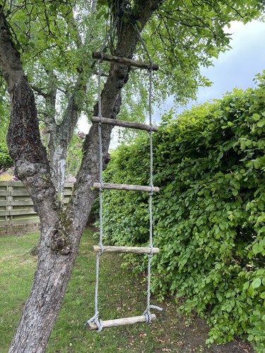 Rope ladder rings perfect - rope,
